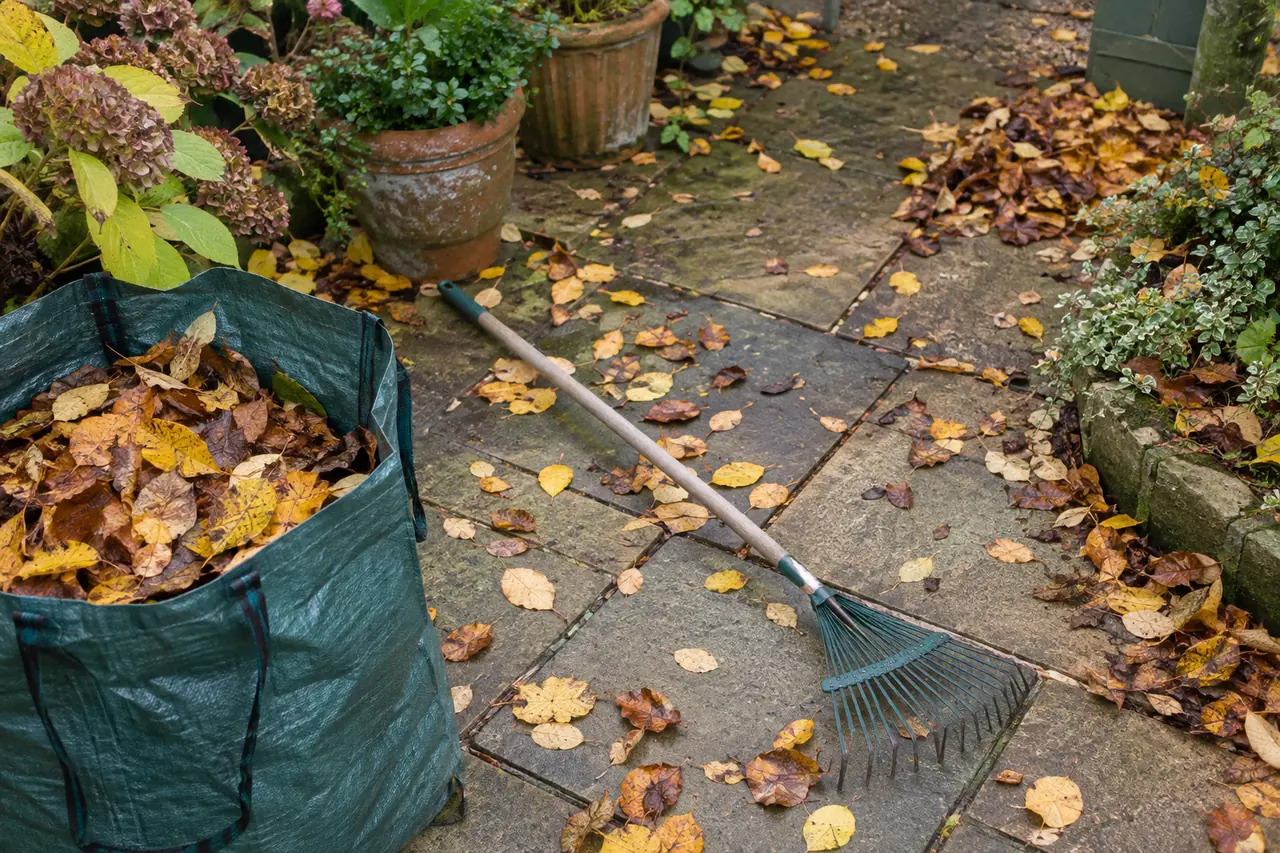 Fallen autumn leaves, a rake and a leaf sack on a garden path.